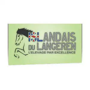 logo islandais