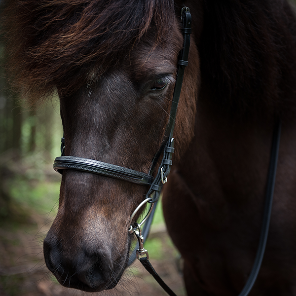 Draupnir® ORKA nesereim høy, engelsk. Svart blank dekorstripe